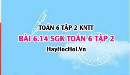Bài 6.14 SGK Toán 6 tập 2 Kết nối tri thức